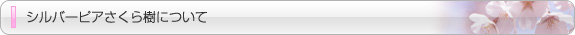 シルバーピアさくら樹について